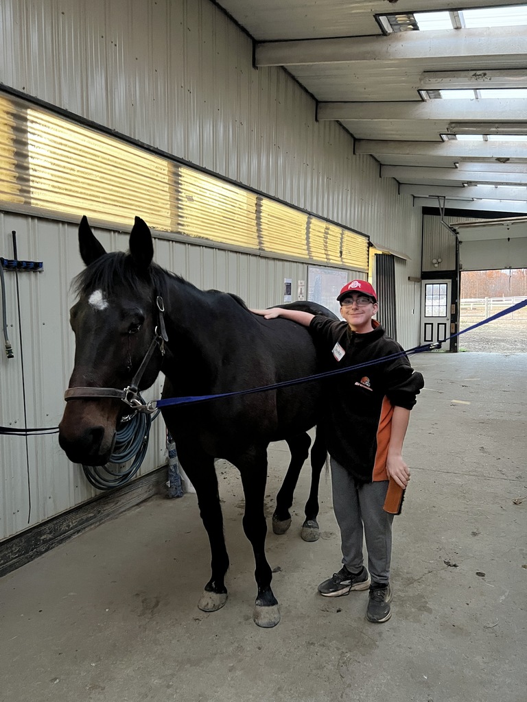 club connect jr visiting Step in with Horses
