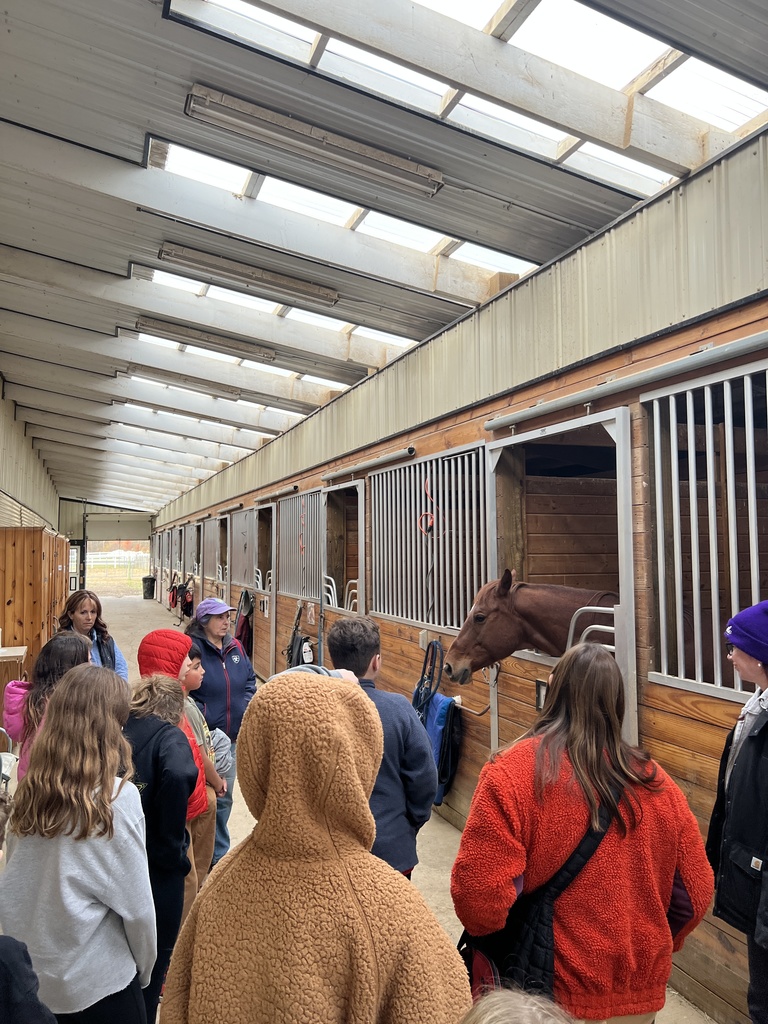 club connect jr visiting Step in with Horses