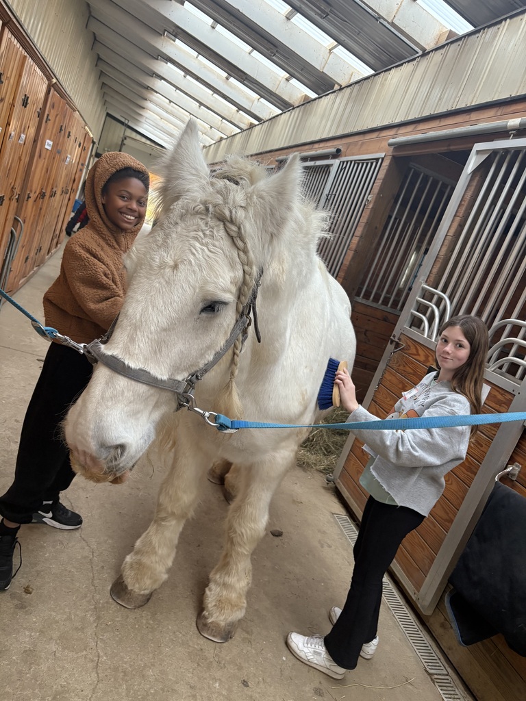 club connect jr visiting Step in with Horses