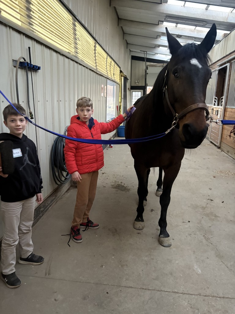 club connect jr visiting Step in with Horses