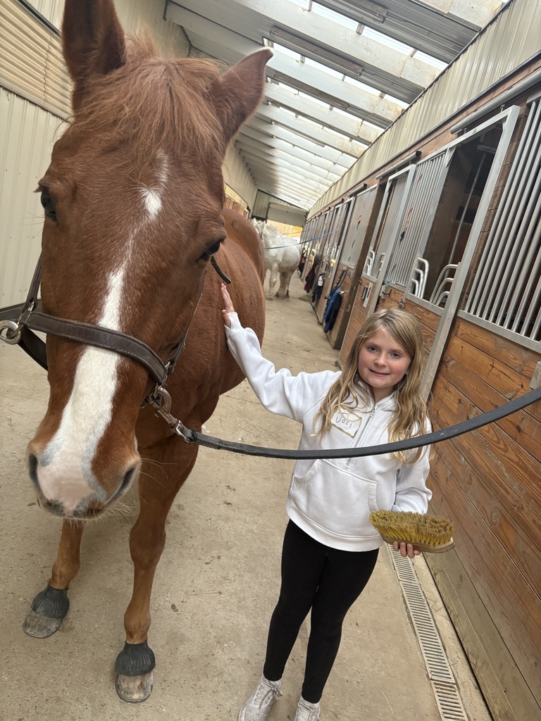 club connect jr visiting Step in with Horses