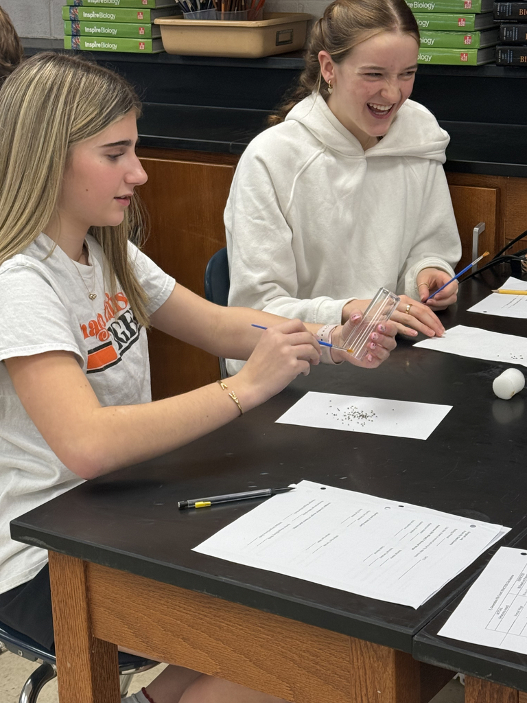 HS Biology students sorting fruit flies and then examining them under a microscope to understand dominant and recessive traits.