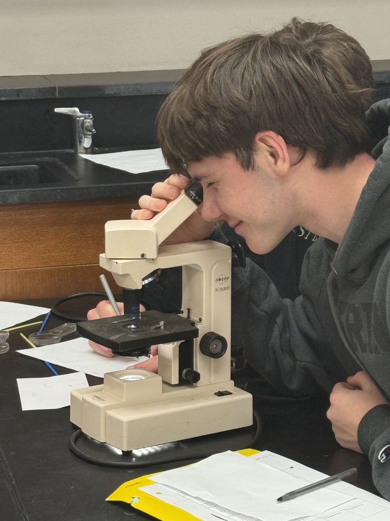 HS Biology students sorting fruit flies and then examining them under a microscope to understand dominant and recessive traits.