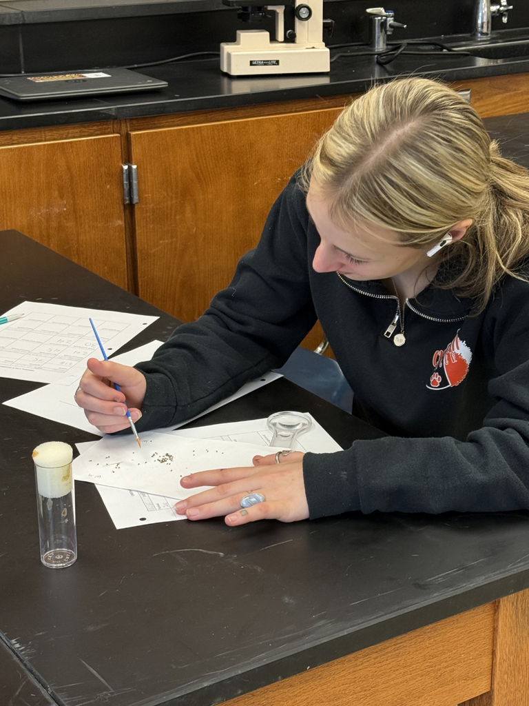 HS Biology students sorting fruit flies and then examining them under a microscope to understand dominant and recessive traits.