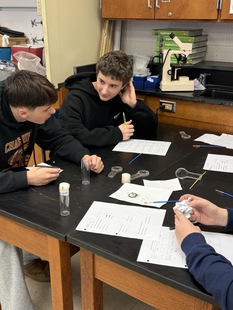 HS Biology students sorting fruit flies and then examining them under a microscope to understand dominant and recessive traits.