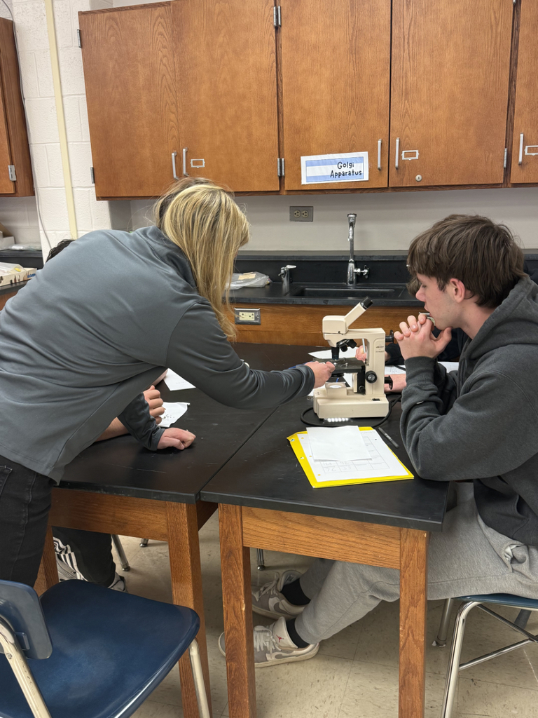 HS Biology students sorting fruit flies and then examining them under a microscope to understand dominant and recessive traits.