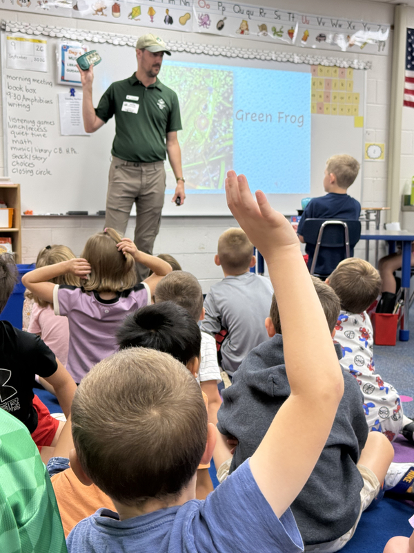 Frogs in First Grade
