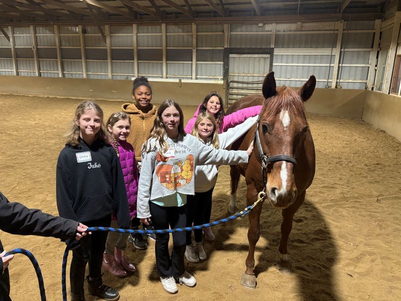 club connect jr visiting Step in with Horses