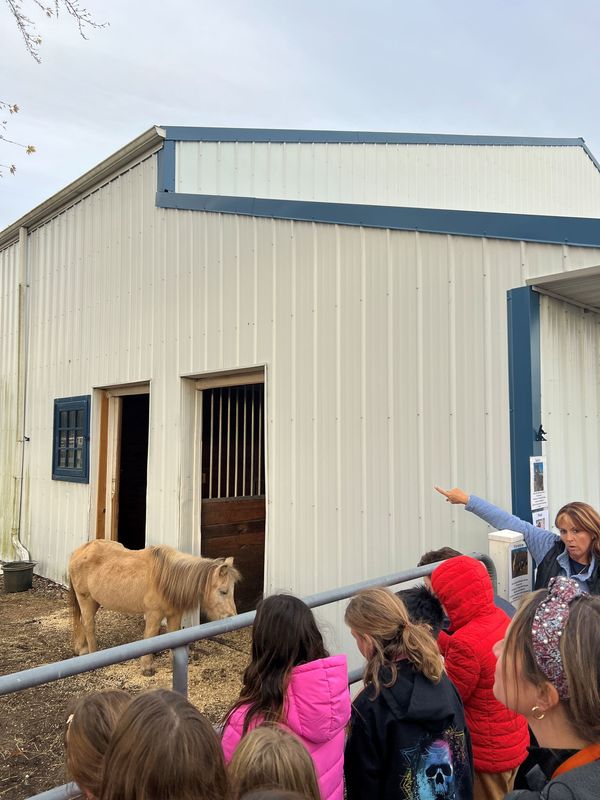 club connect jr visiting Step in with Horses