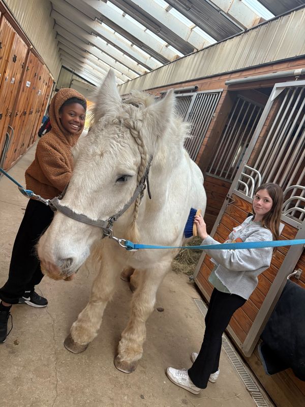 club connect jr visiting Step in with Horses