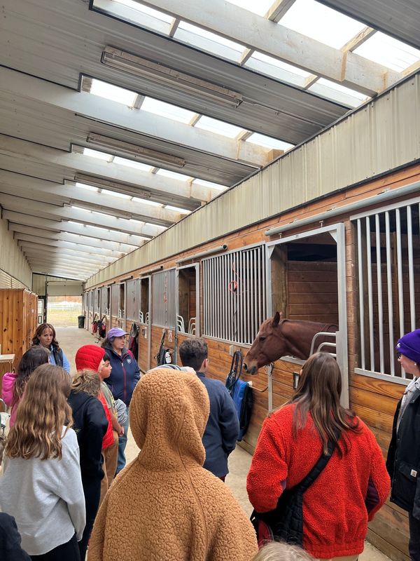 club connect jr visiting Step in with Horses