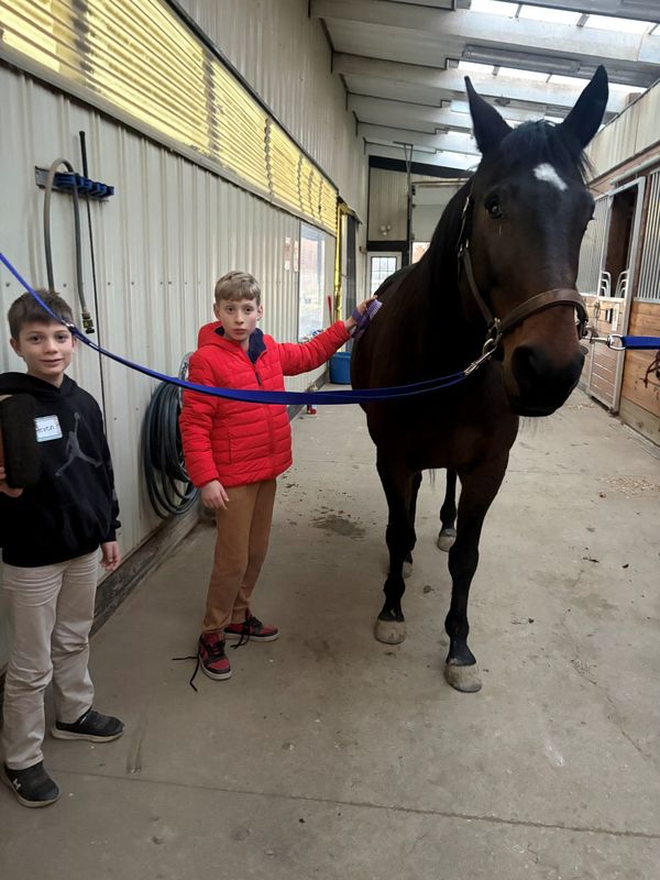 club connect jr visiting Step in with Horses