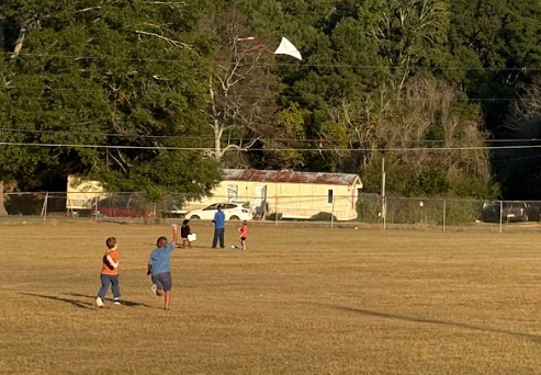 Flying Kite