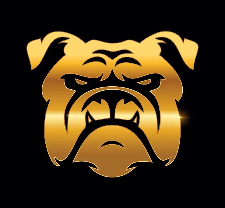 golden-bulldog-logo-vector-34511994