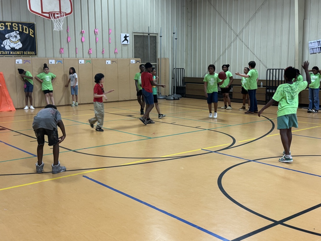 Field Day