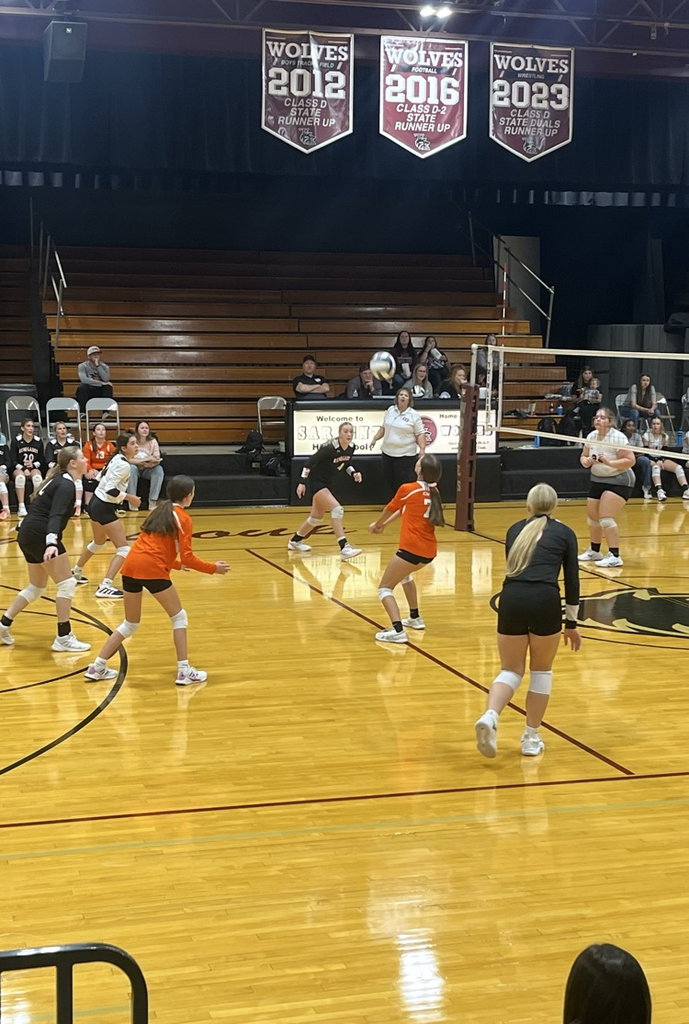 volleyball 