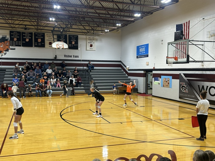 volleyball 