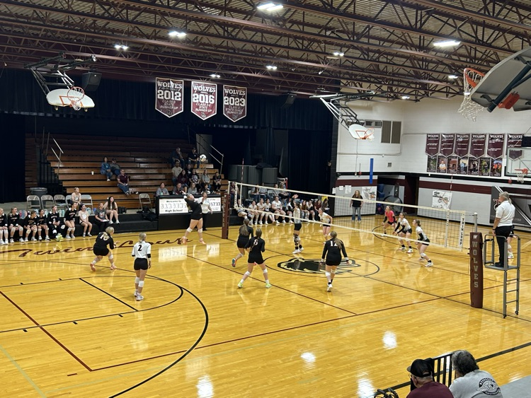 volleyball 