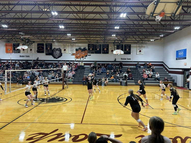 volleyball 