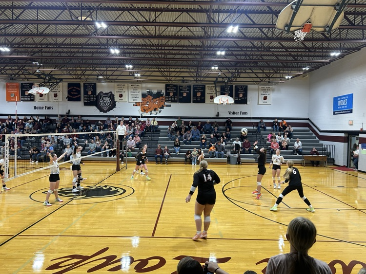 volleyball 