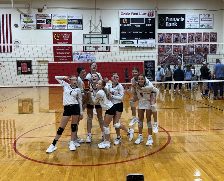 Volleyball