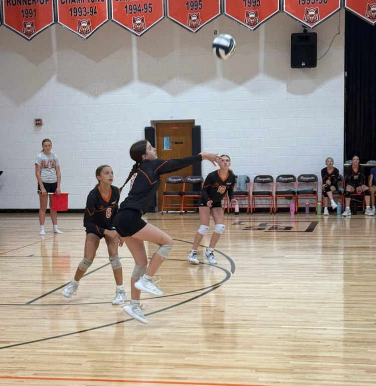 volleyball 