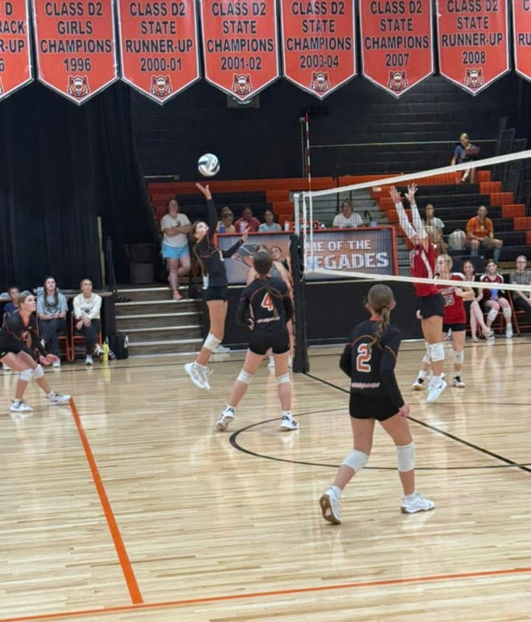 volleyball 