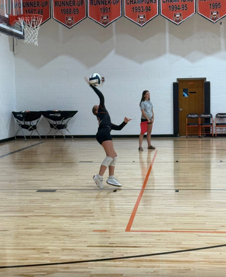 volleyball 