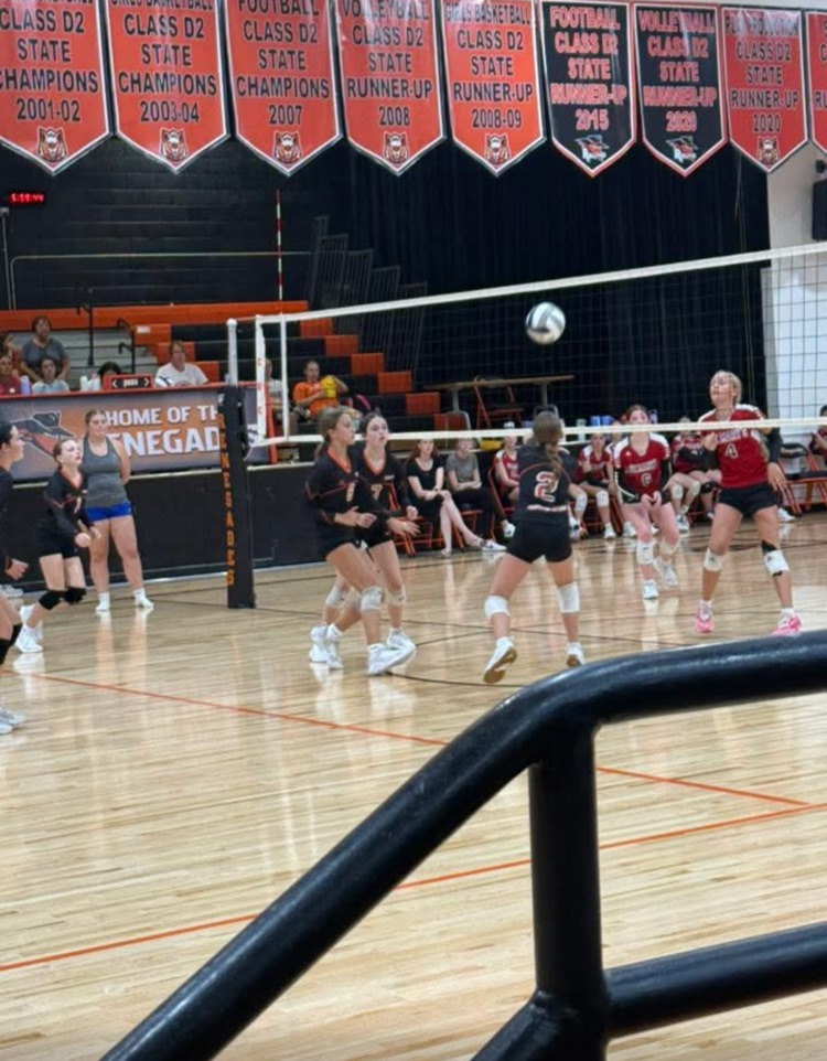 volleyball 