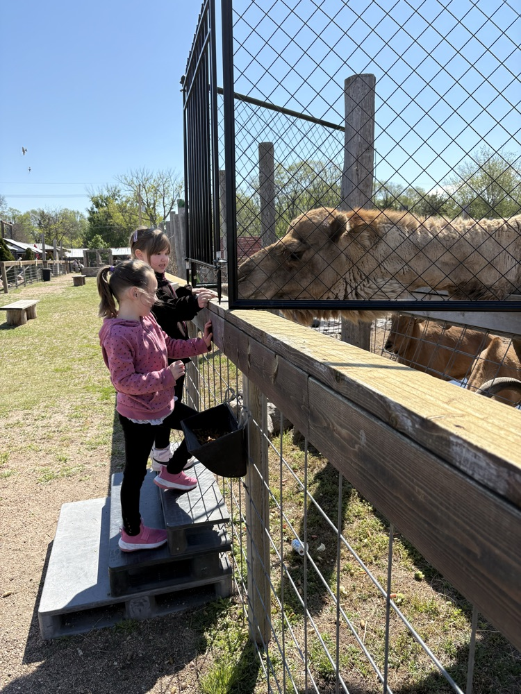field trip 