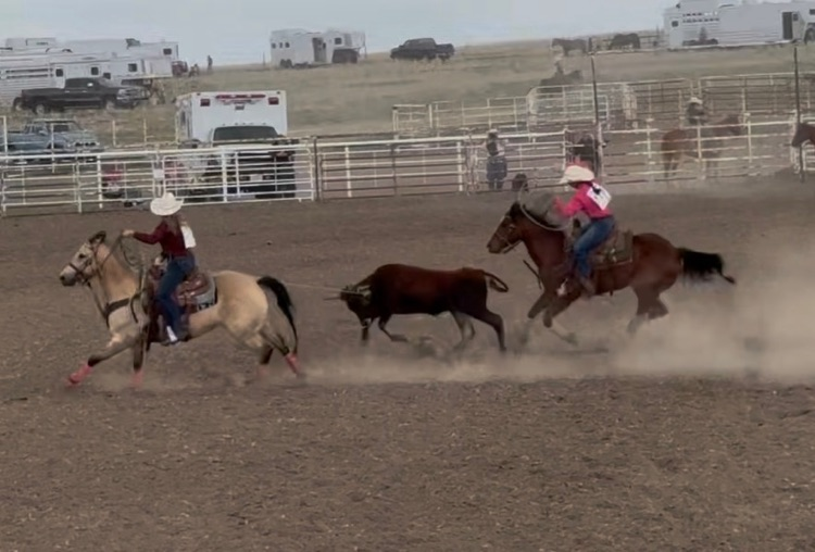 rodeo