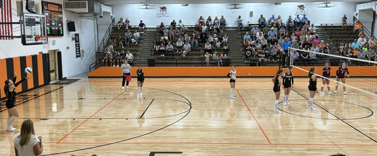 Volleyball