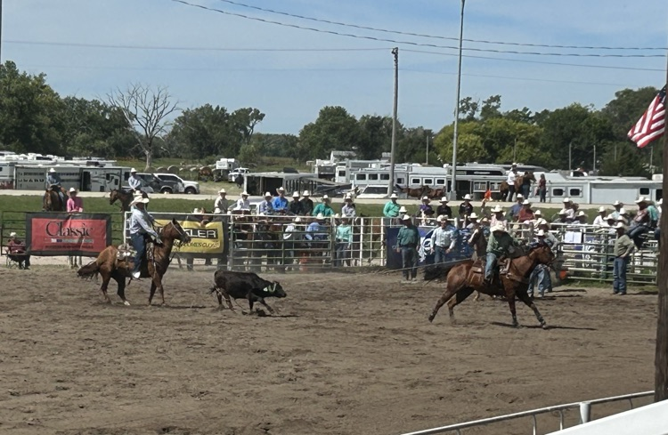 rodeo