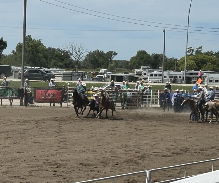 rodeo