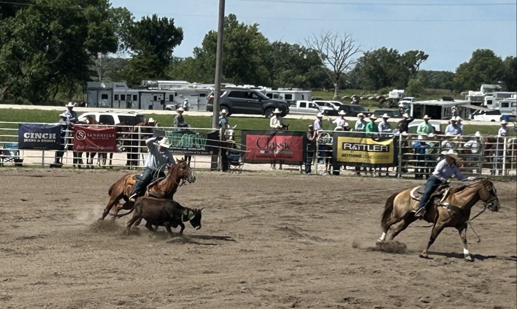 rodeo