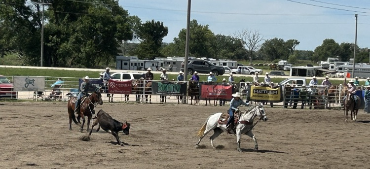 rodeo