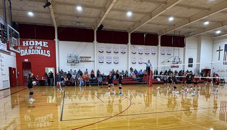 volleyball