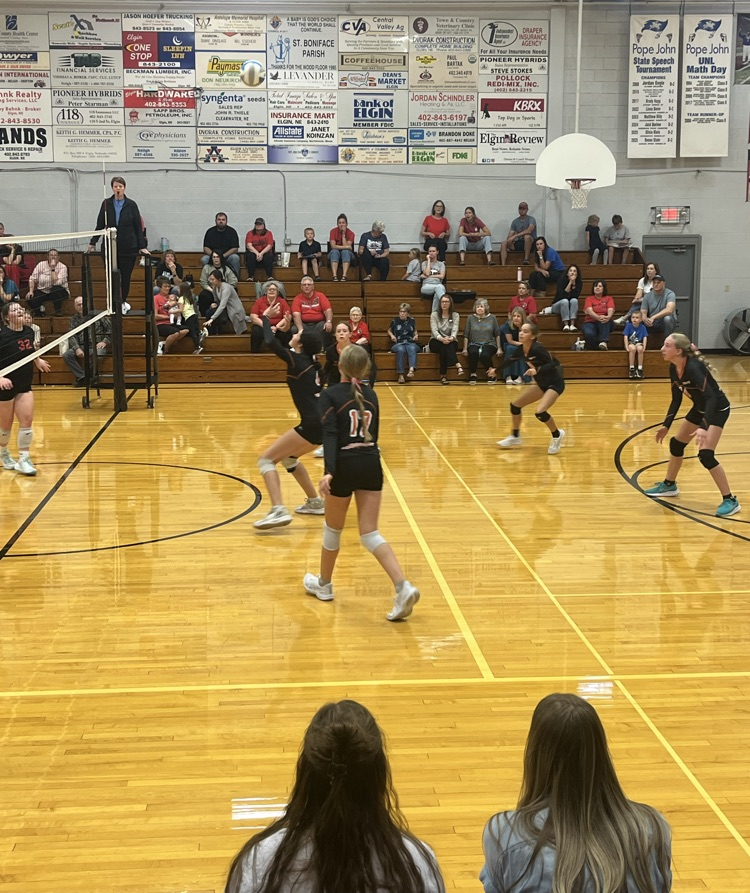 volleyball