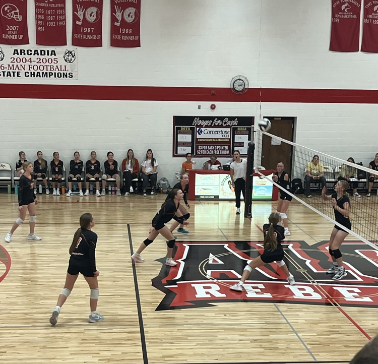 Volleyball