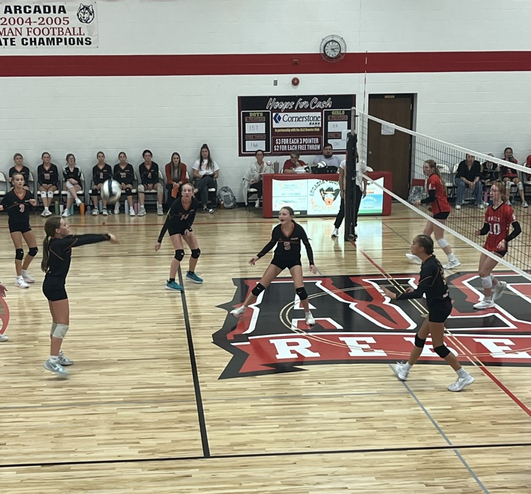 Volleyball