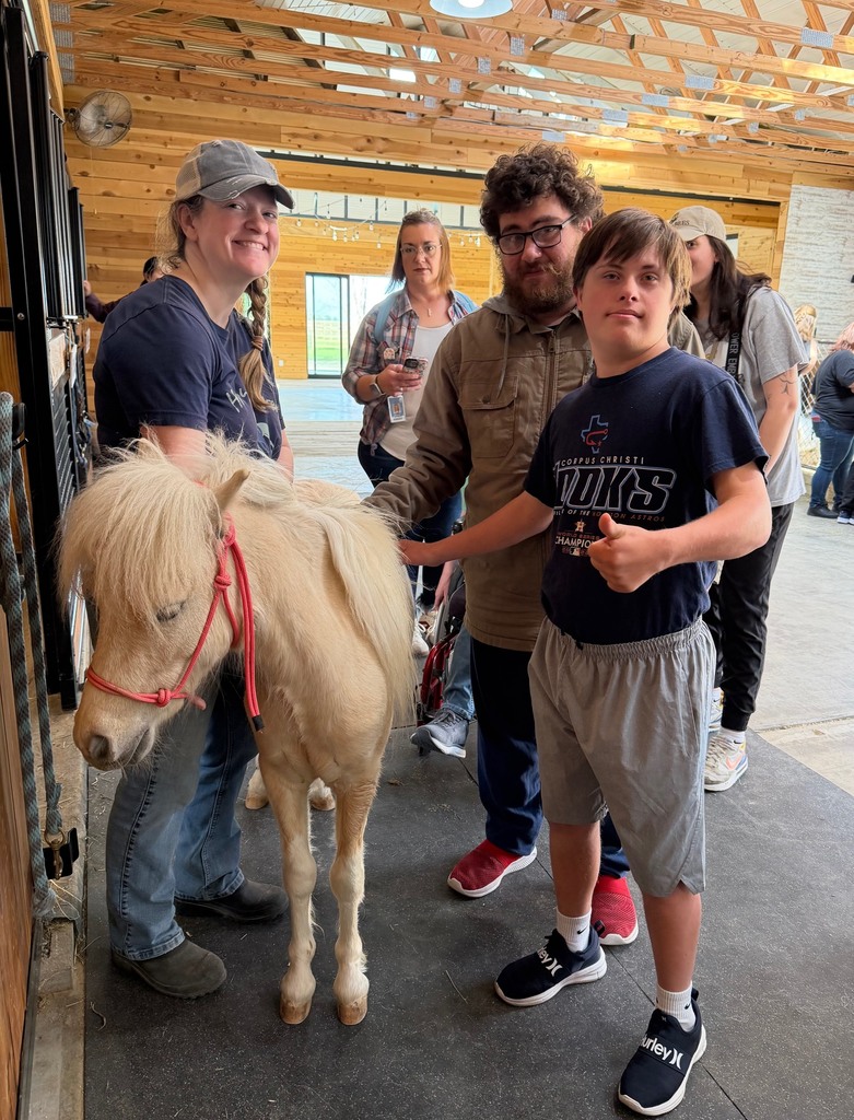 People interact with a small white horse, indoors, with a wooden ceiling and a metal door.