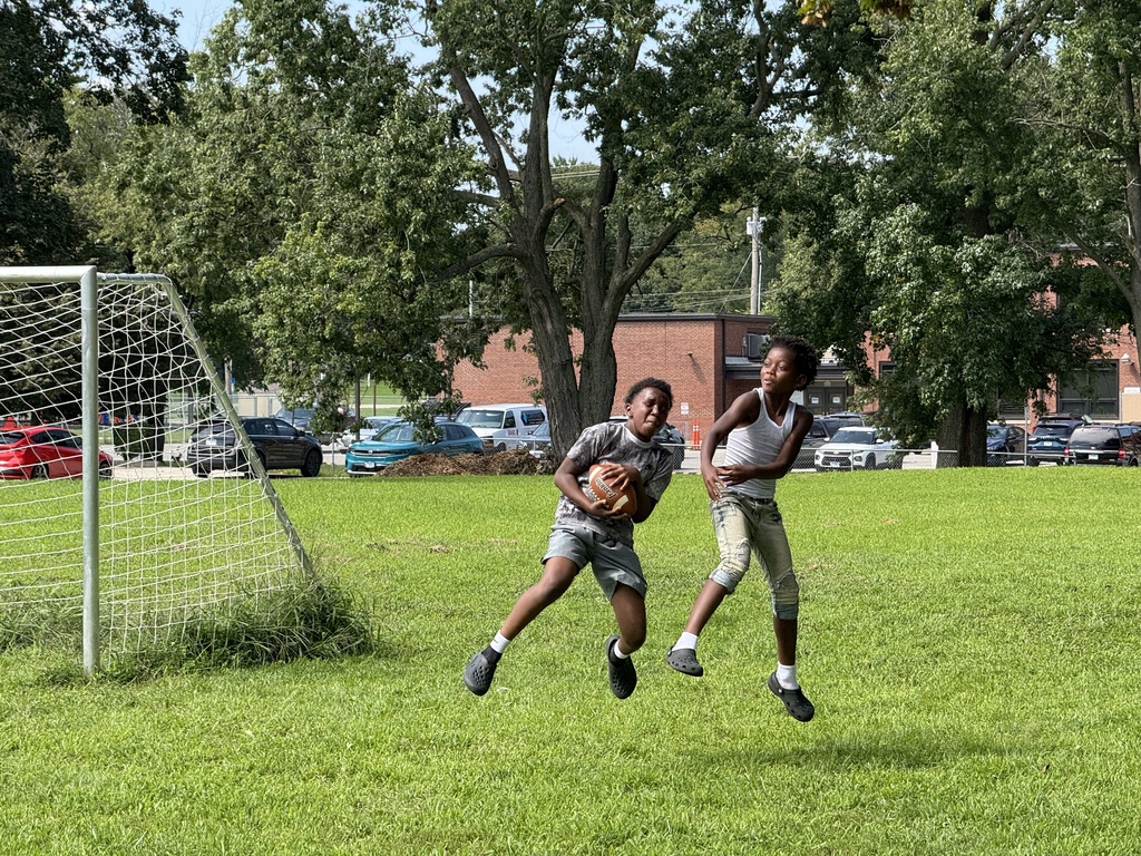 Two young men playing football in a park, one running to catch the ball, another running. Soccer goal in the background.