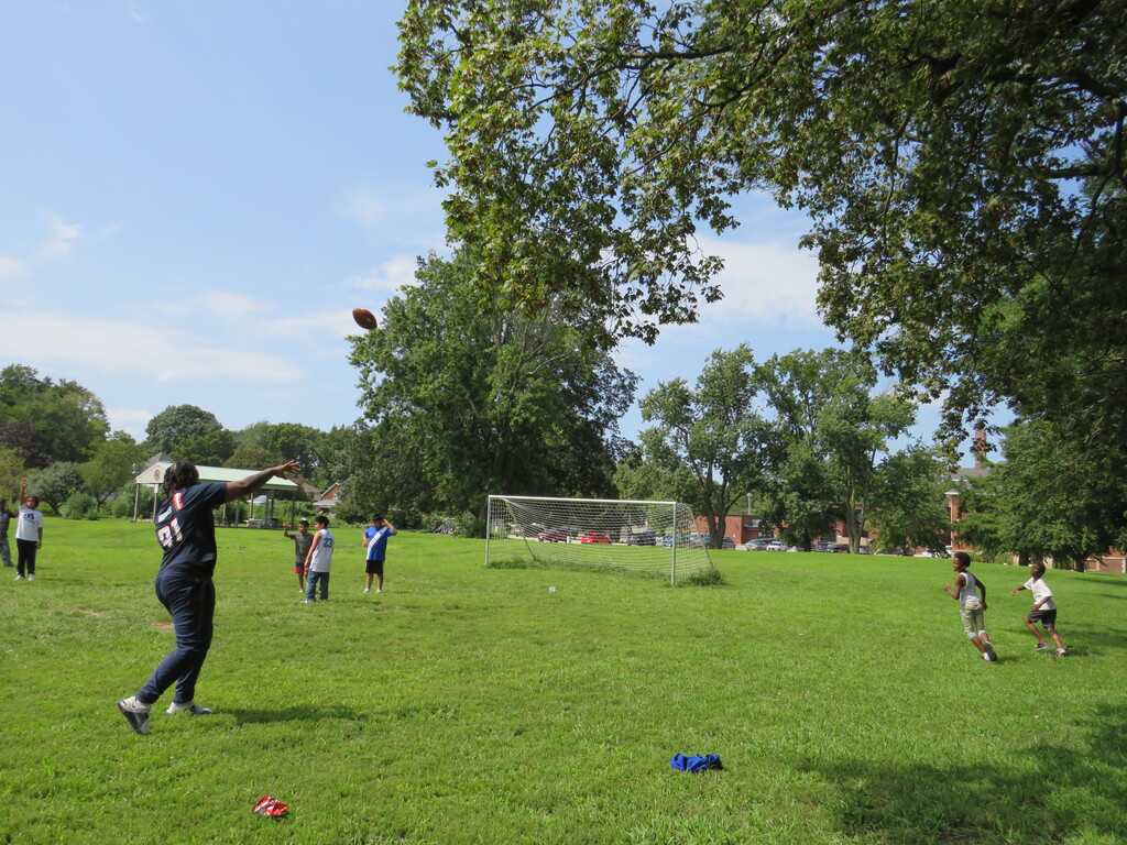 People play catch in a grassy park. Trees provide shade. One person throws a ball.