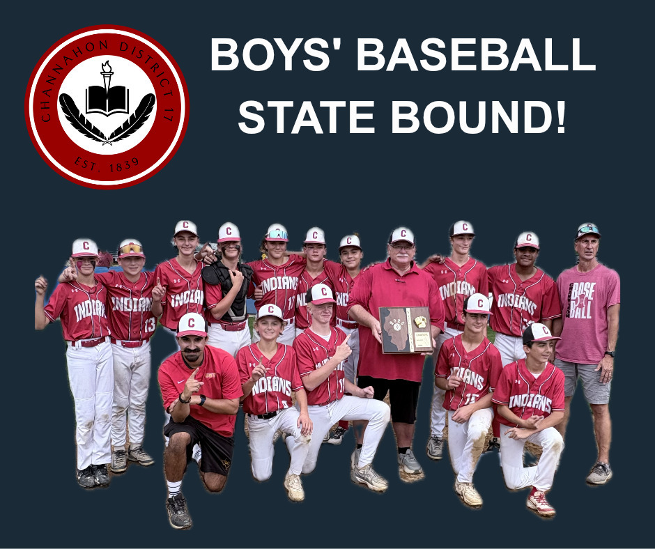 Boys' Baseball State Bound 