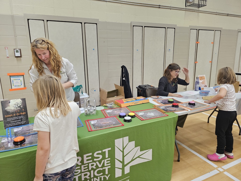 Fall Fest Forest Preserve Table
