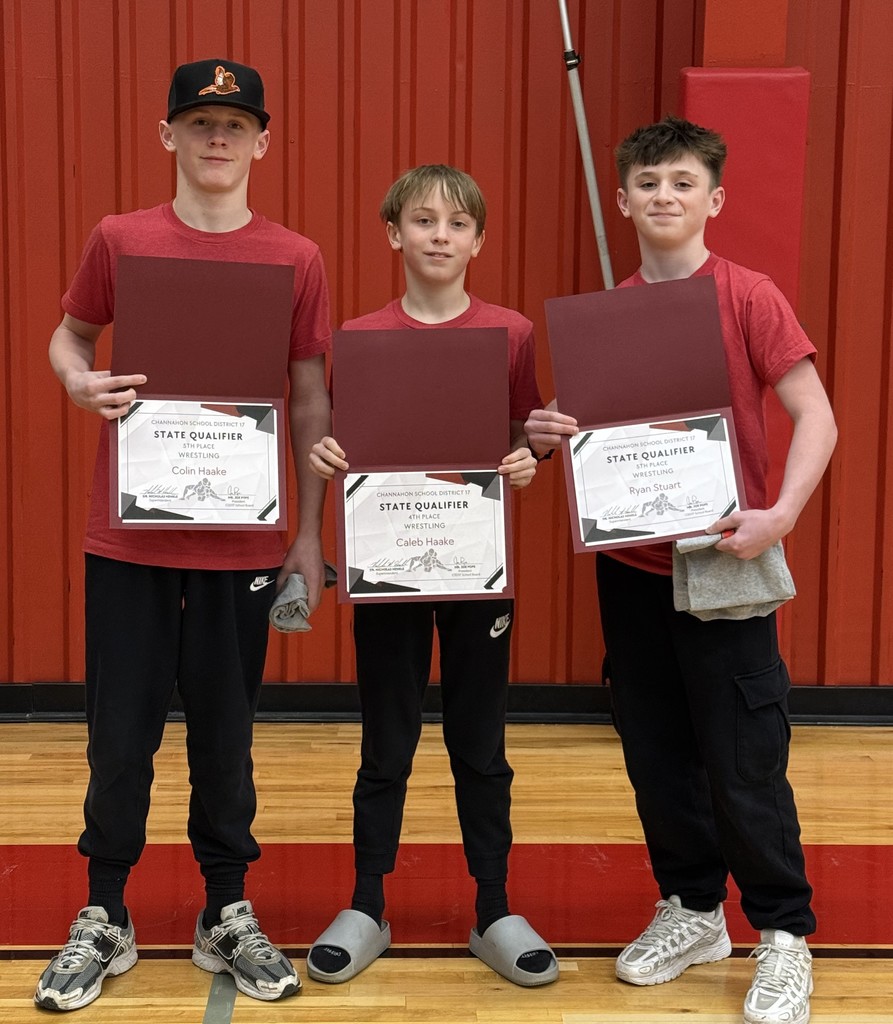 Wrestlers who placed in State.