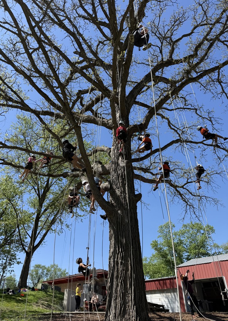 Reaching new heights!  Our 5th graders showed courage, teamwork, and determination on the ropes course at Camp Manitoqua.