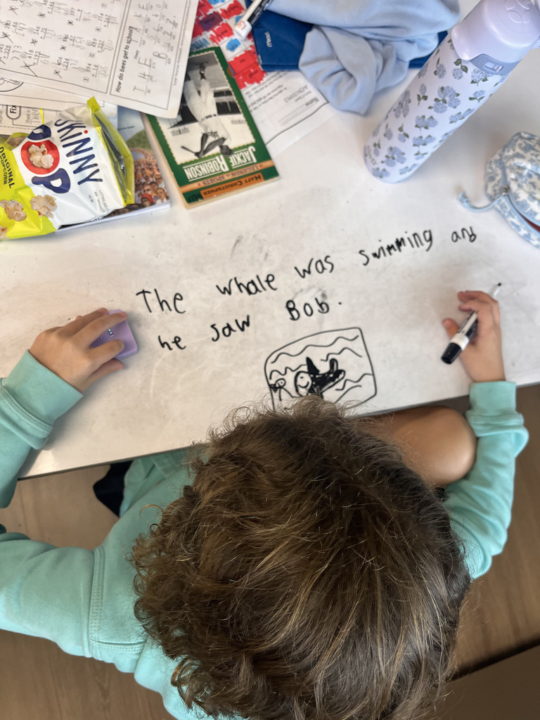 Student Sentence