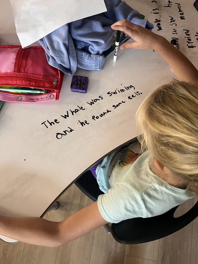 Student Sentence
