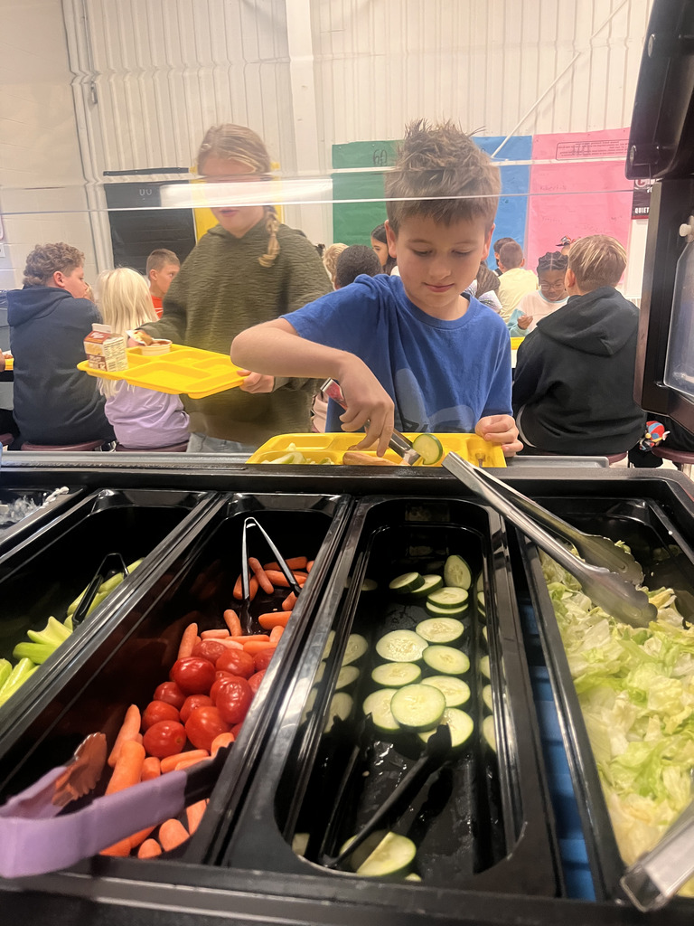 Lunch Cart